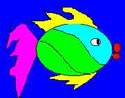 fisk